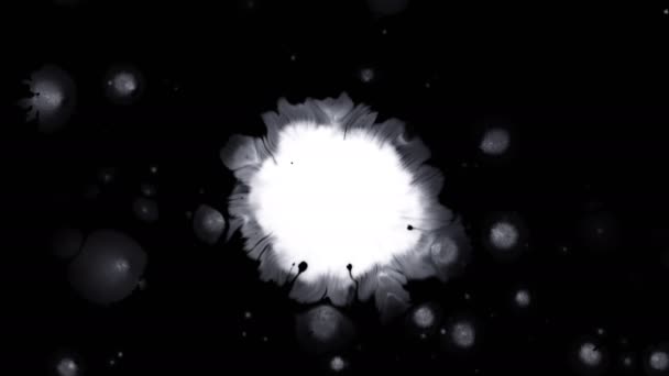 Красивые Белые Капли Чернил Акварелью Черном Фоне Краска Кровоточит Блум — стоковое видео