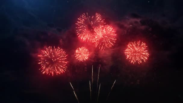 2020 인도네시아어 텍스트와 밤하늘에 반짝이는 입자와 배경에 색느린 동작의 불꽃놀이 — 비디오