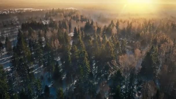 Πετώντας Πάνω Από Δάσος Χειμώνα Κάπου Στη Ρωσική Backwoods Καθαρή — Αρχείο Βίντεο