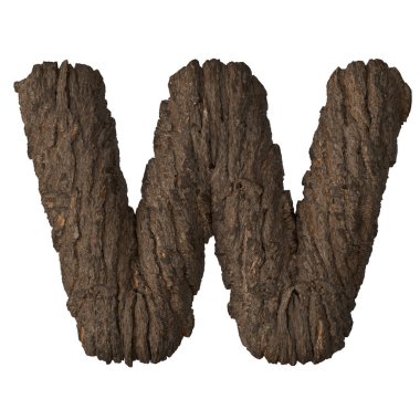 Kabuk harfi W - 3d illüstrasyon