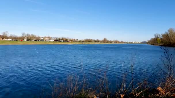 Piękny Dzień Nad Jeziorem Jarun Rekreacyjni Ludzie Ćwiczą Wiosłowanie Jeziorze — Wideo stockowe