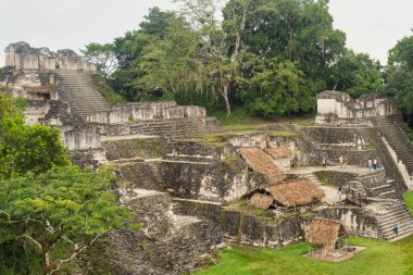  Tikal, Flores, Guatemala yakınındaki Maya kalıntıları