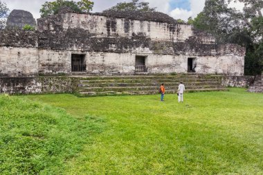  Tikal, Flores, Guatemala yakınındaki Maya kalıntıları