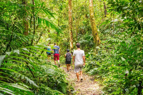 游客走在危地马拉雨林. — 图库照片