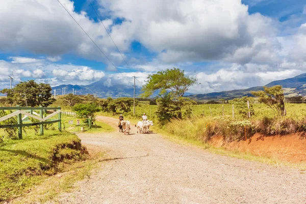 Paisagem rural com parque eólico em segundo plano na Costa Rica n — Fotografia de Stock