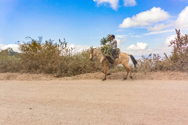 Man, riding the horse on the dirt road in Guatemala. — Stock Photo, Image