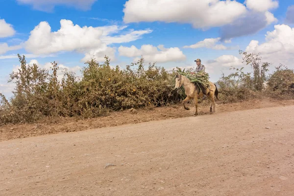 Cavalcare il cavallo sulla strada sterrata in Guatemala . — Foto Stock