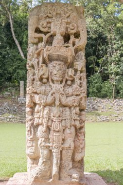 Copan Ruinas, Honduras Maya harabelerini oyulmuş taş