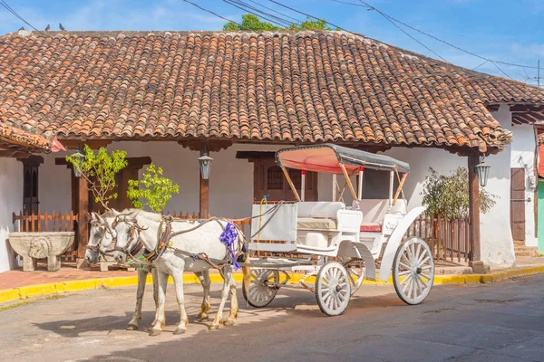 Hästskjuts på gatan i Granada, Nicaragua — Stockfoto