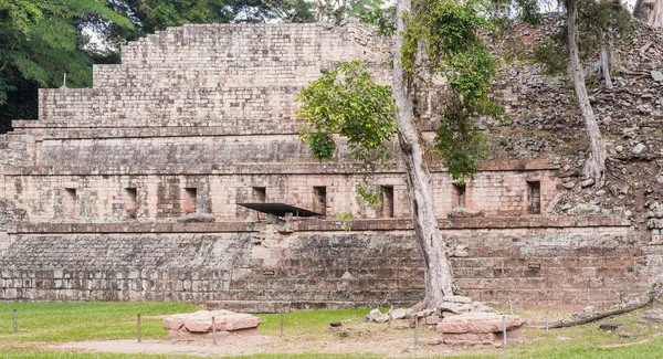 Las ruinas mayas en Copán Ruinas, Honduras —  Fotos de Stock