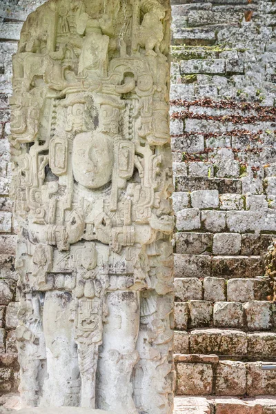 Piedras talladas en las ruinas mayas en Copán Ruinas, Honduras —  Fotos de Stock