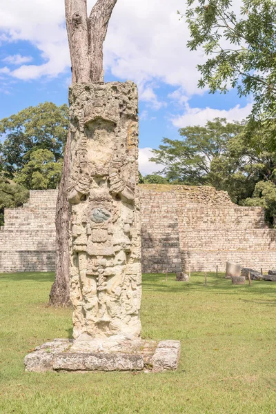 Piedras talladas en las ruinas mayas en Copán Ruinas, Honduras —  Fotos de Stock