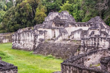  Maya ruins of Tikal, near Flores, Guatemala clipart
