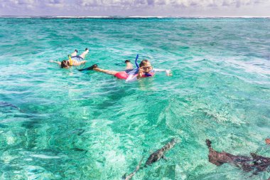 İnsanlar içinde resif yakınındaki Caye Caulker, Belize şnorkel