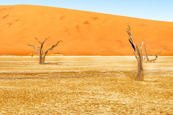 Dead Vlei v místě zvaném Sesriem v Namibii — Stock fotografie