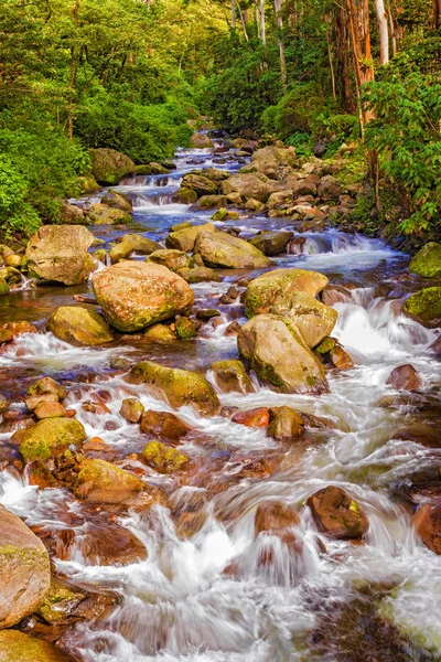 Rio Caldera perto da cidade de Boquete no Panamá — Fotografia de Stock