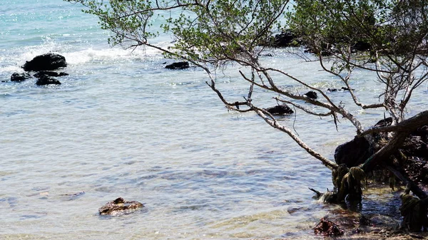 Pláž a moře na Provincie Rayong, Thajsko — Stock fotografie