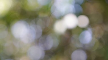 Odak aydınlatma, bulanıklık ve arka plan dışında