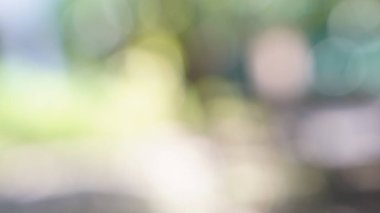 Bulanıklık ve arka plan