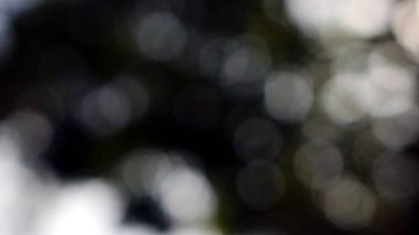 Bulanıklık ve arka plan