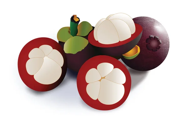 Sommige Mangosteen fruit — Stockvector