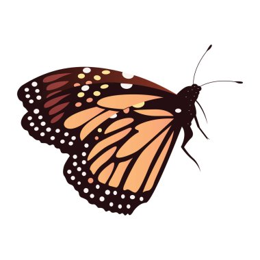 Vintage bahar - kelebek uçan - yan bakış