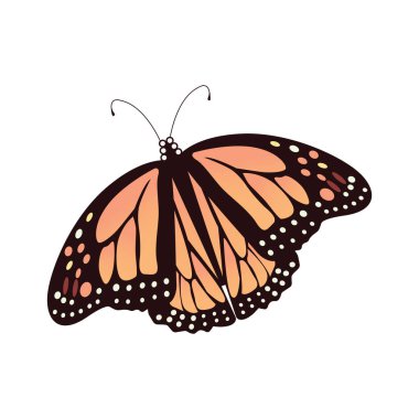 Vintage bahar - kelebek uçan - Önden Görünüm