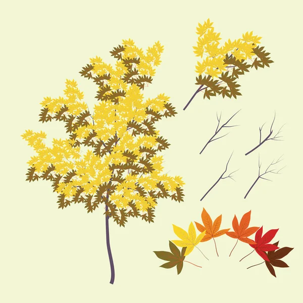 Japón Kouyou Árbol, hojas y ramas — Vector de stock