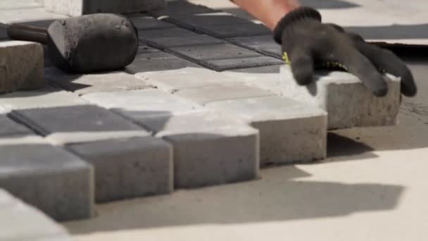 Close-up, Workers Hands With Gloves Skillfully Lay Paving Slabs — Stock Footage Close-up, Workers Hands With Gloves Skillfully Lay Paving Slabs Royalty Free Stock Footage