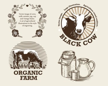 Vector image of cows, milk canister, jug, cup and vintage frame. A set of agricultural illustrations in the style of engraving. clipart