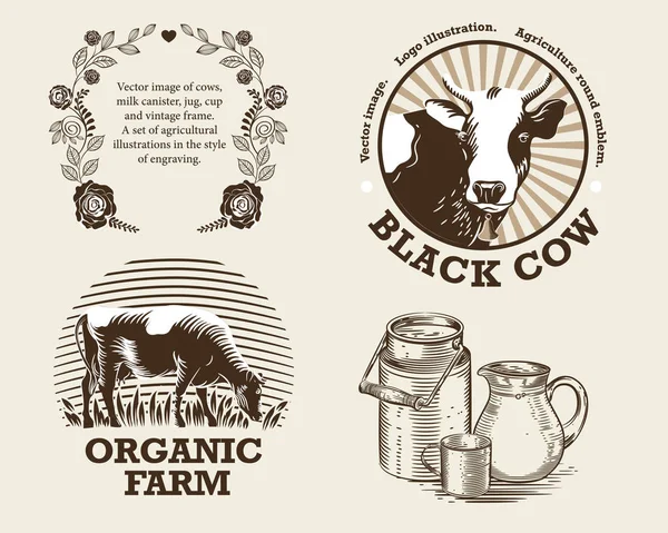 Imagem vetorial de vacas, lata de leite, jarro, xícara e moldura vintage. Um conjunto de ilustrações agrícolas no estilo de gravura . — Vetor de Stock