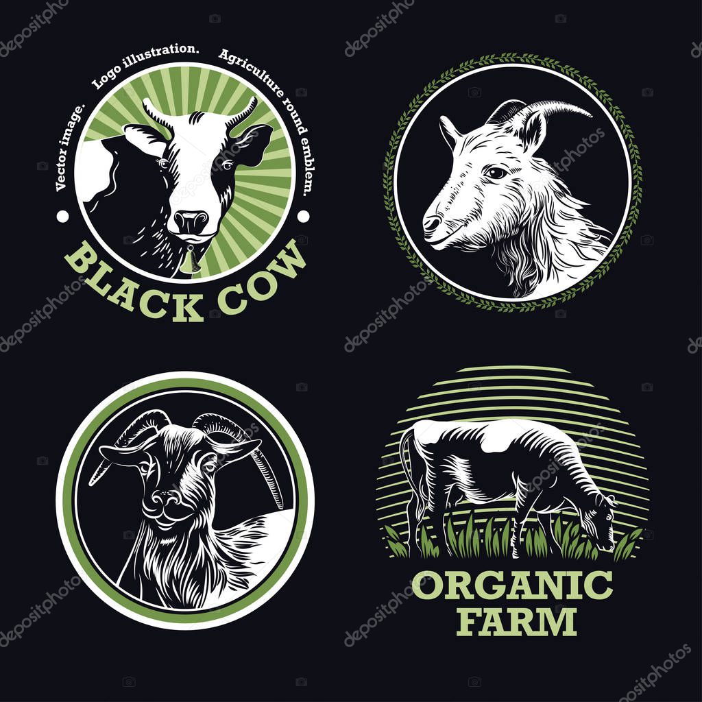 Vector images of cows and goats. Set of farm emblems on a dark blue background. Logo illustrations.
