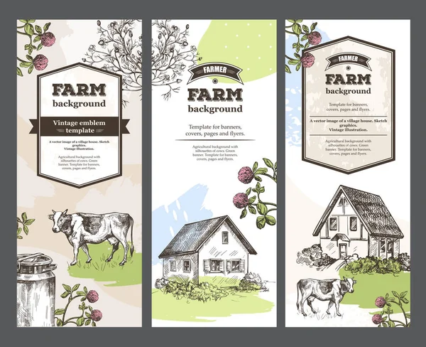 Conjunto de pancartas agrícolas. Fondos agrícolas. Ilustraciones vintage. Dibujos gráficos . — Vector de stock