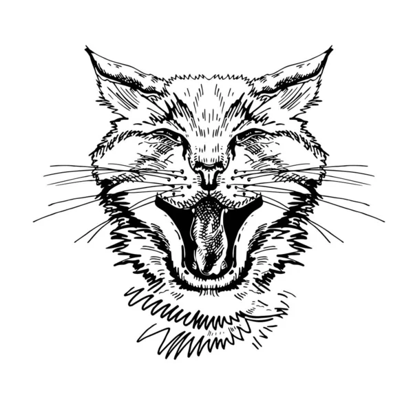 Porträt einer Katze. Schwarz-Weiß-Grafiken. Katzenkopf mit offenem Maul und entblößten Zähnen. — Stockvektor