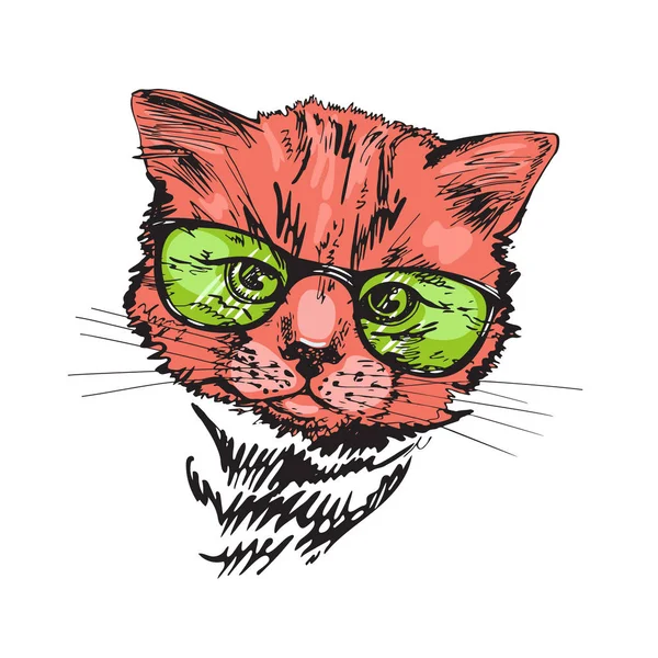 Gatto rosso in occhiali verdi. Che adorabile animaletto. Disegno schizzo . — Vettoriale Stock