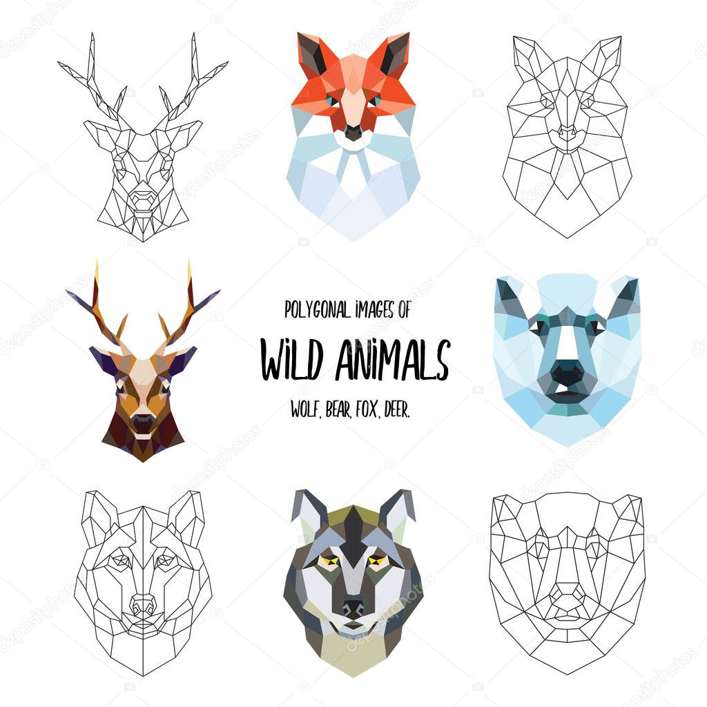 Set of polygonal images of wild animals. Wolf, bear, fox, deer. Portrait of triangles.