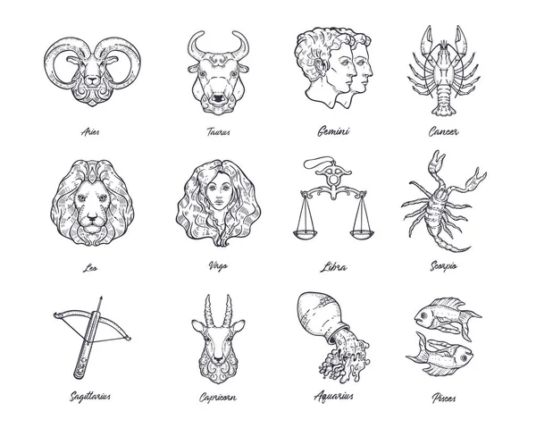 Ensemble vectoriel de signes du zodiaque. Constellations zodiacales. Horoscope astrologique. — Image vectorielle