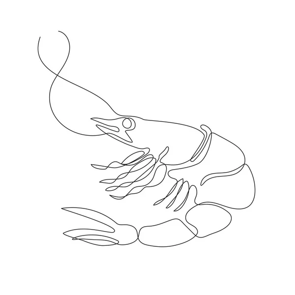 Camarones dibujados en una línea. Línea continua. Mariscos . — Vector de stock