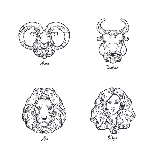 Vector set of zodiac signs. Aries, Leo, Taurus and Virgo. — Stockvektor