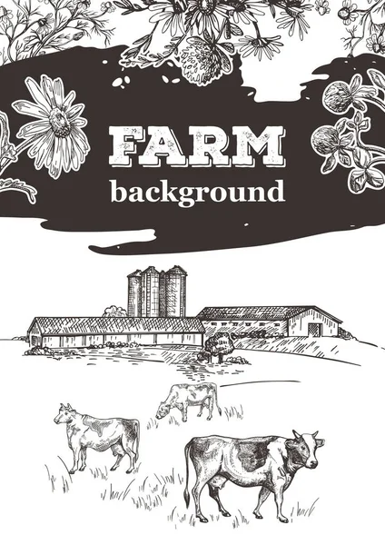 Las vacas pastan cerca de la granja. Granero y ascensor de grano. Cubierta de muestra para folleto agrícola . — Vector de stock