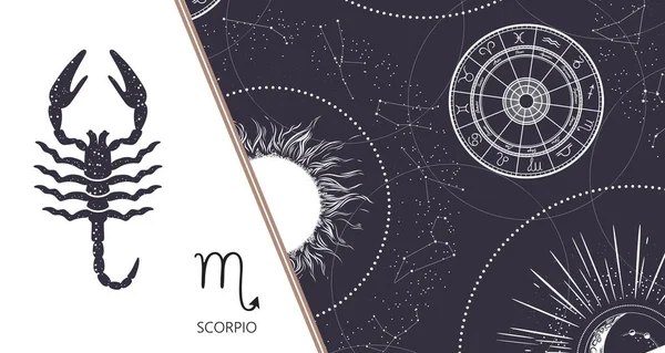 Sfondo zodiacale. Costellazione Scorpione. Bandiera orizzontale. Illustrazione vettoriale — Vettoriale Stock