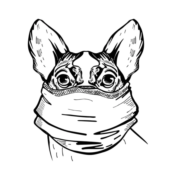 Hund in medizinischer Maske. Pandemie. COVID-19. Boston Terrier. — Stockvektor