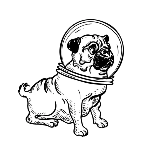 Imagem vetorial de um pug no capacete de um astronauta . — Vetor de Stock