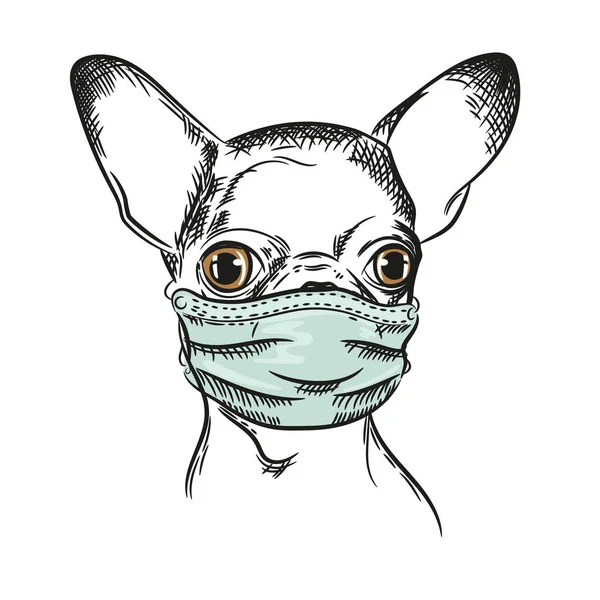Vector afbeelding van een Chihuahua hond Hond met medisch masker. — Stockvector