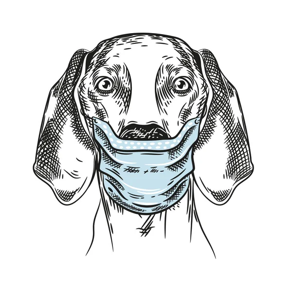 Vectorafbeelding van een jachthond. Hond met medisch masker. — Stockvector