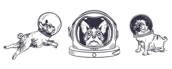 Seperangkat anjing astronot. Pugs dan Boston Terrier. Hewan dalam helm ruang angkasa.. - Stok Vektor
