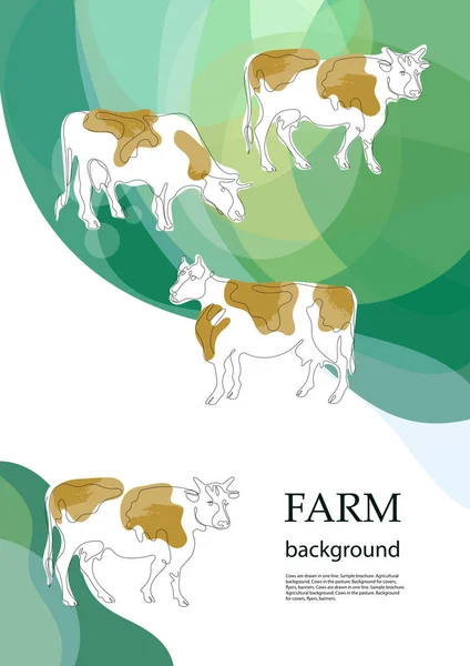 As vacas são desenhadas em uma linha. Folheto de amostras. Fundo agrícola. — Vetor de Stock