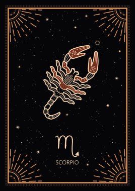 Zodiac İşaret Kartları. Zodiac geçmişi. Takımyıldızı Akrep. Antika tarzı.
