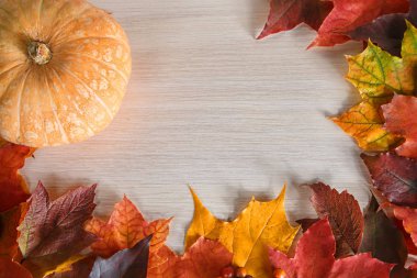 kabaklar ve sonbahar yaprakları ahşap arka planda