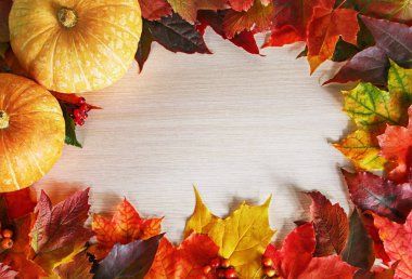 Sonbahar meşe yaprakları ve bir sınır oluşturan bir ahşap zemin üzerine mini kabaklar